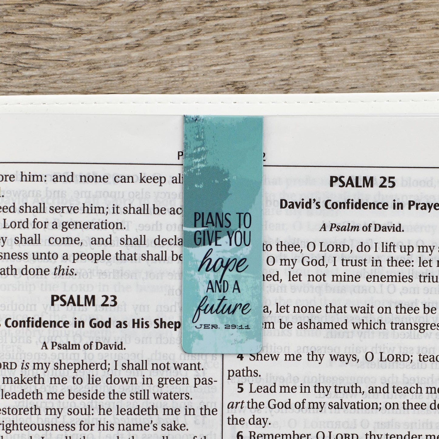 Christian Art Gifts - Magnetic Bookmark Set Scenic