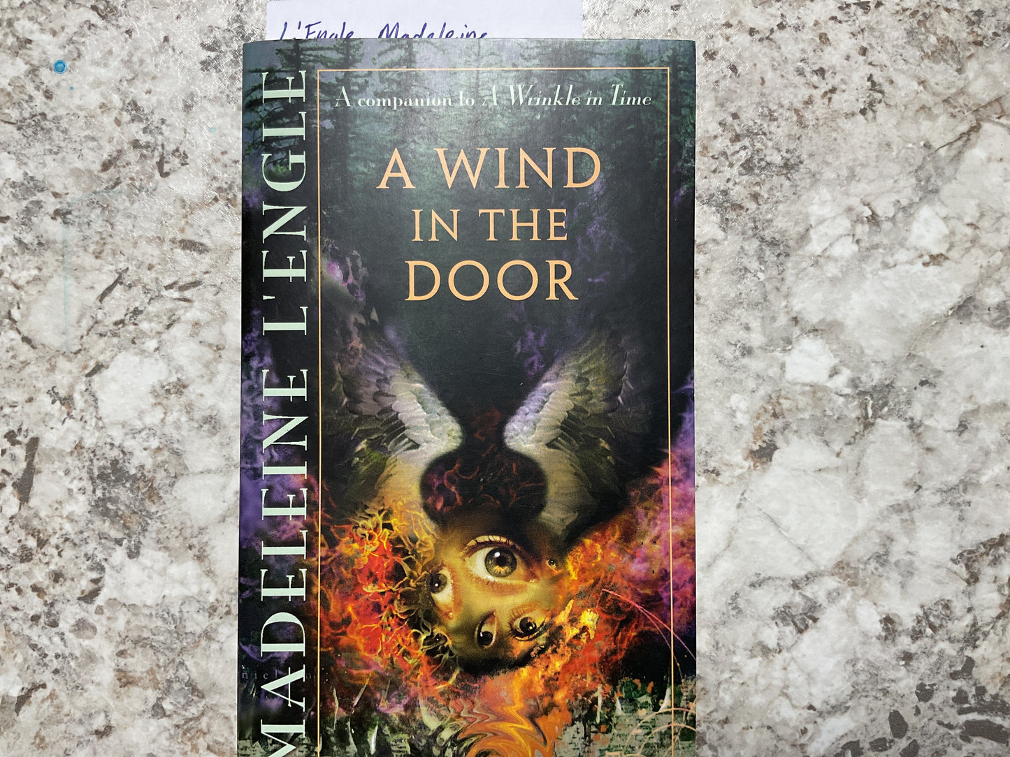 A Wind in the Door (The Time Quartet)