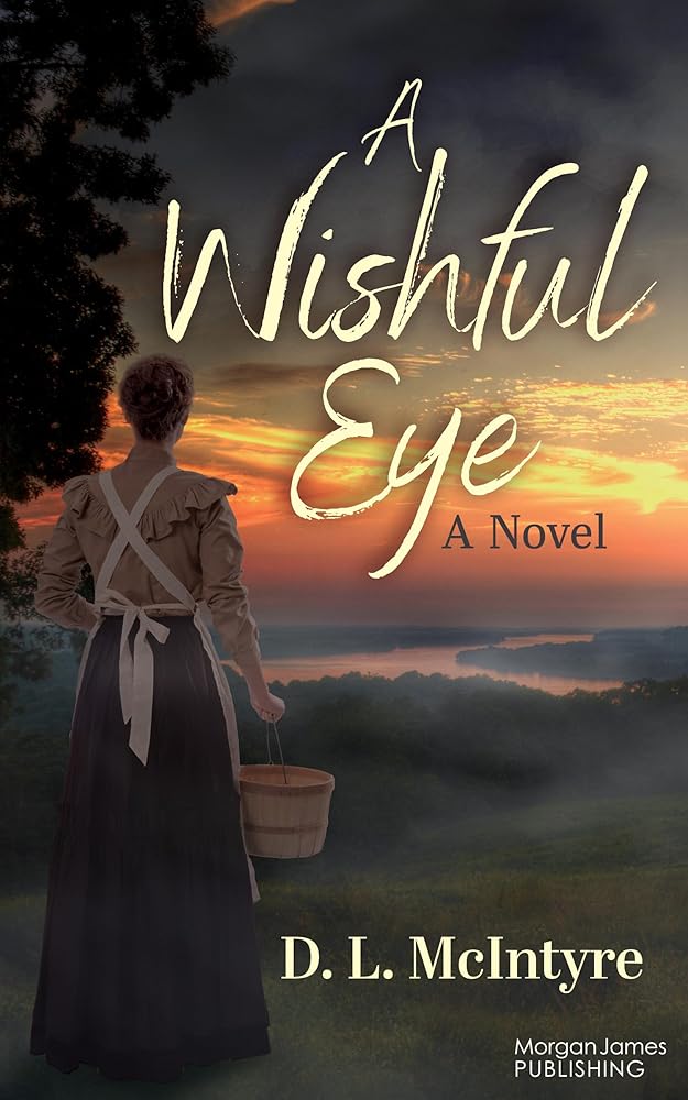A Wishful Eye: A Novel cover image