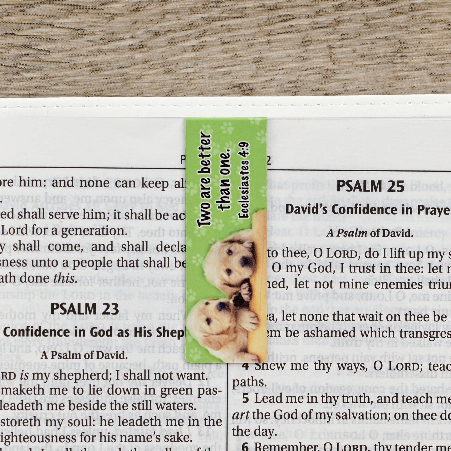 Christian Art Gifts - Magnetic Bookmark Set Special Treasure