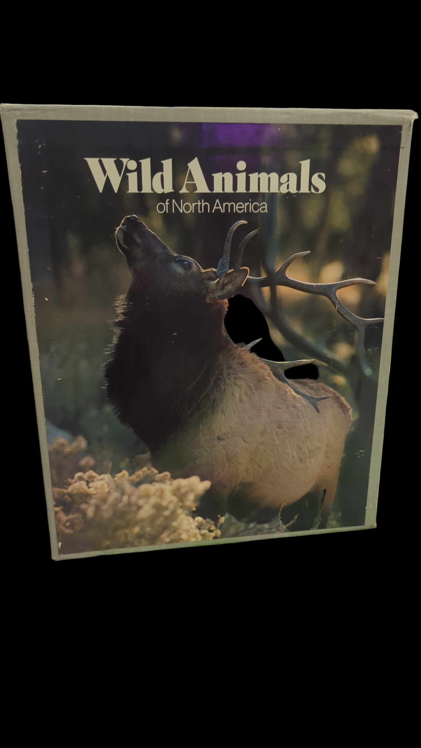 Our Continent: Wild animals of North America AND Natural History of North America by National Geographic (1985-02-28)