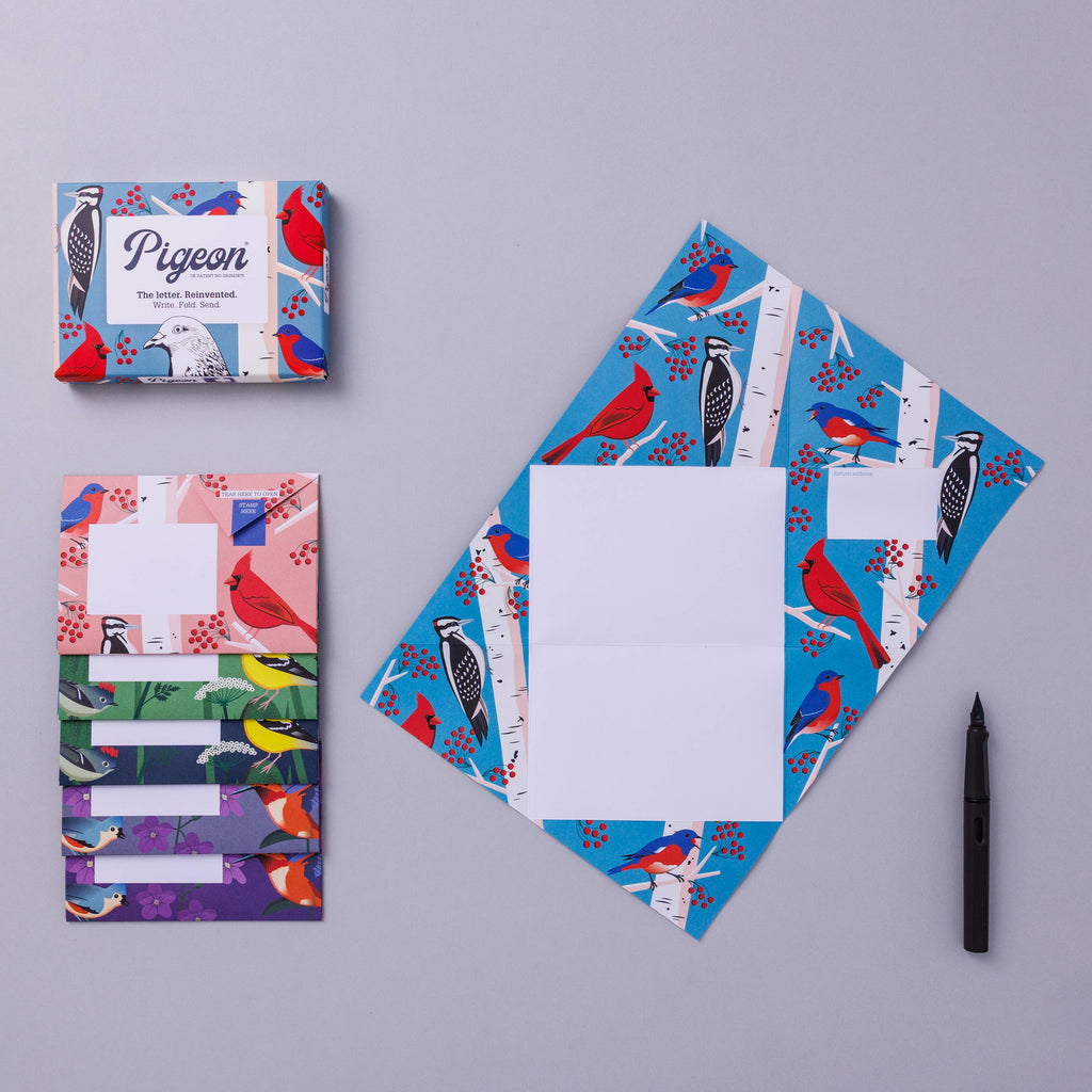 pigeonposted - Carnival of Colour Pigeon, Folding Letter Pack, Pack of 6