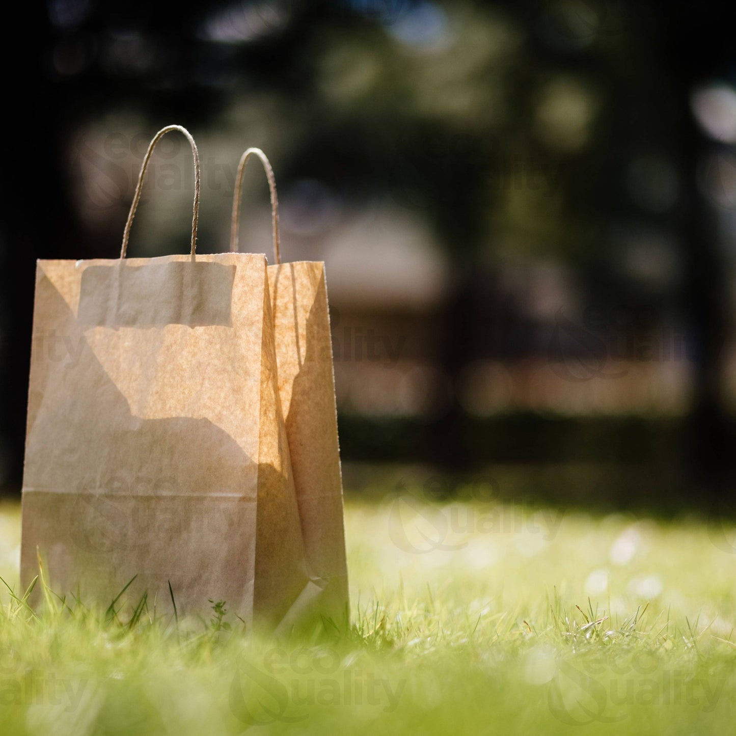 EcoQuality - 10x5x13 Medium Kraft Paper Gift Bags w/Twine Handles Brown