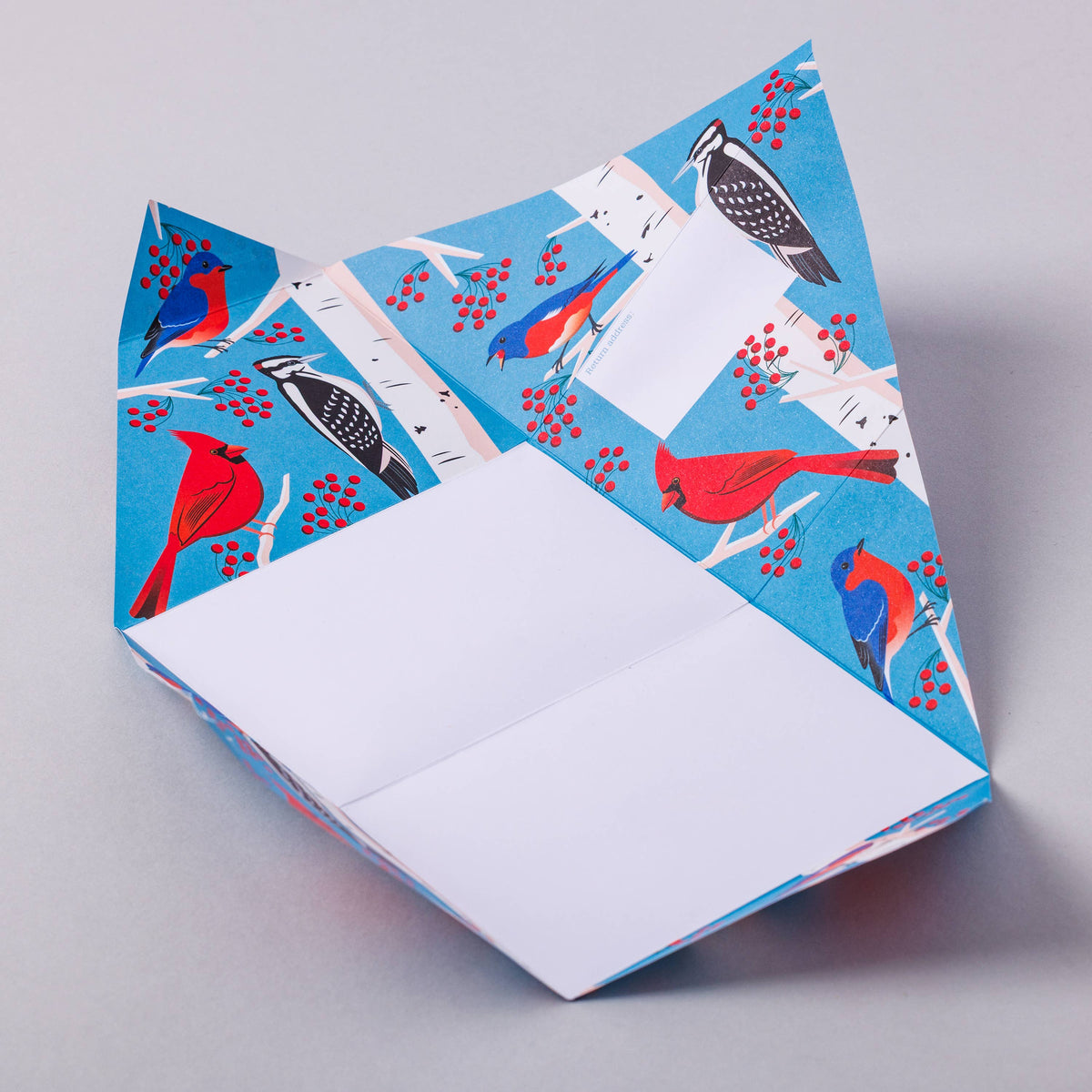 pigeonposted - Carnival of Colour Pigeon, Folding Letter Pack, Pack of 6