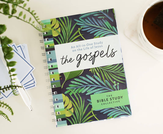 Barbour Publishing, Inc. - The Gospels