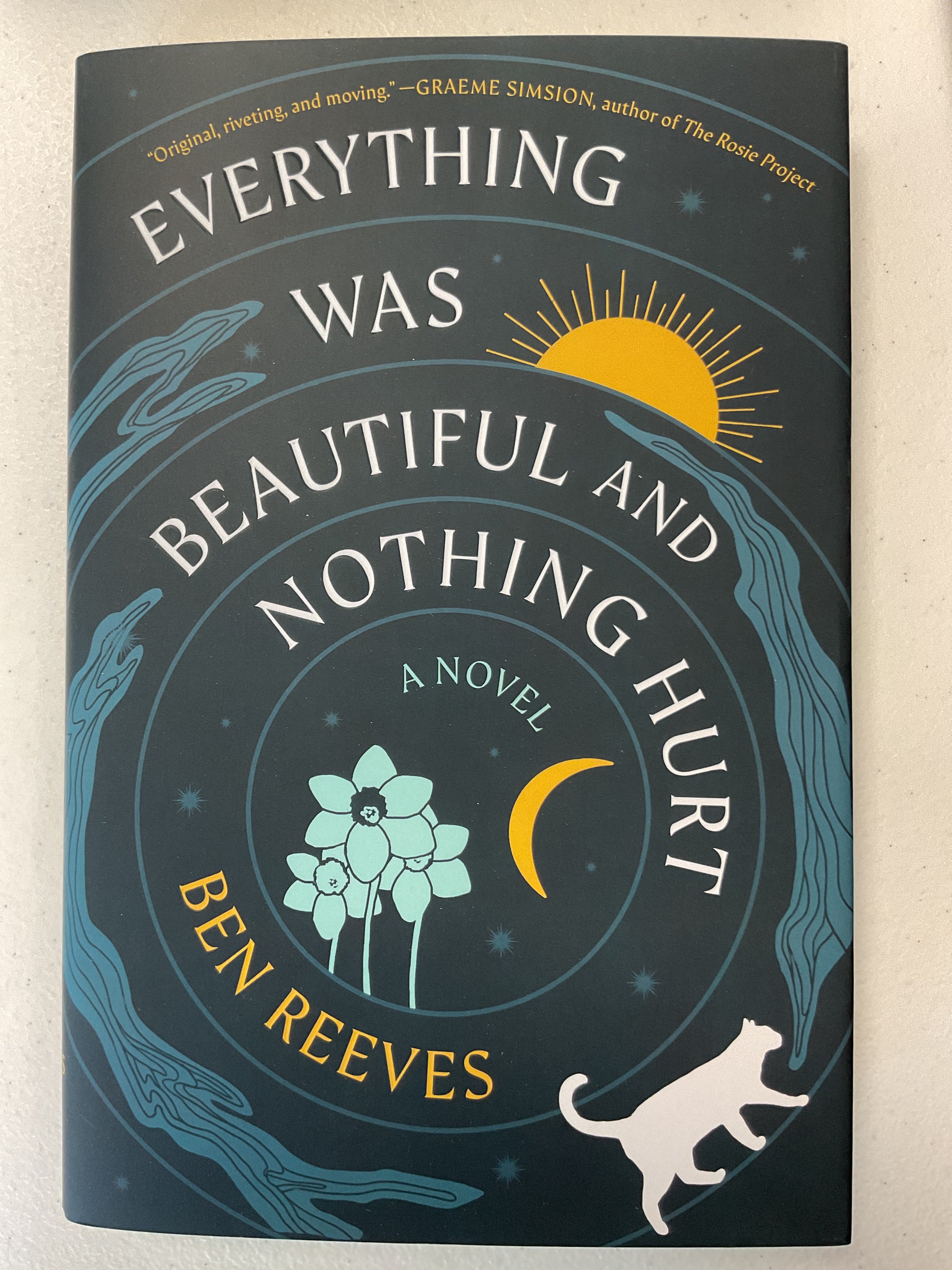 Everything Was Beautiful and Nothing Hurt: A Novel by Ben Reeves