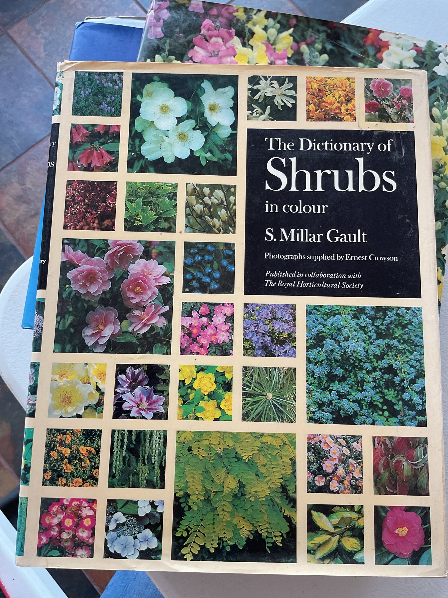 Dictionary of Shrubs in Colour by Godfrey Cave
