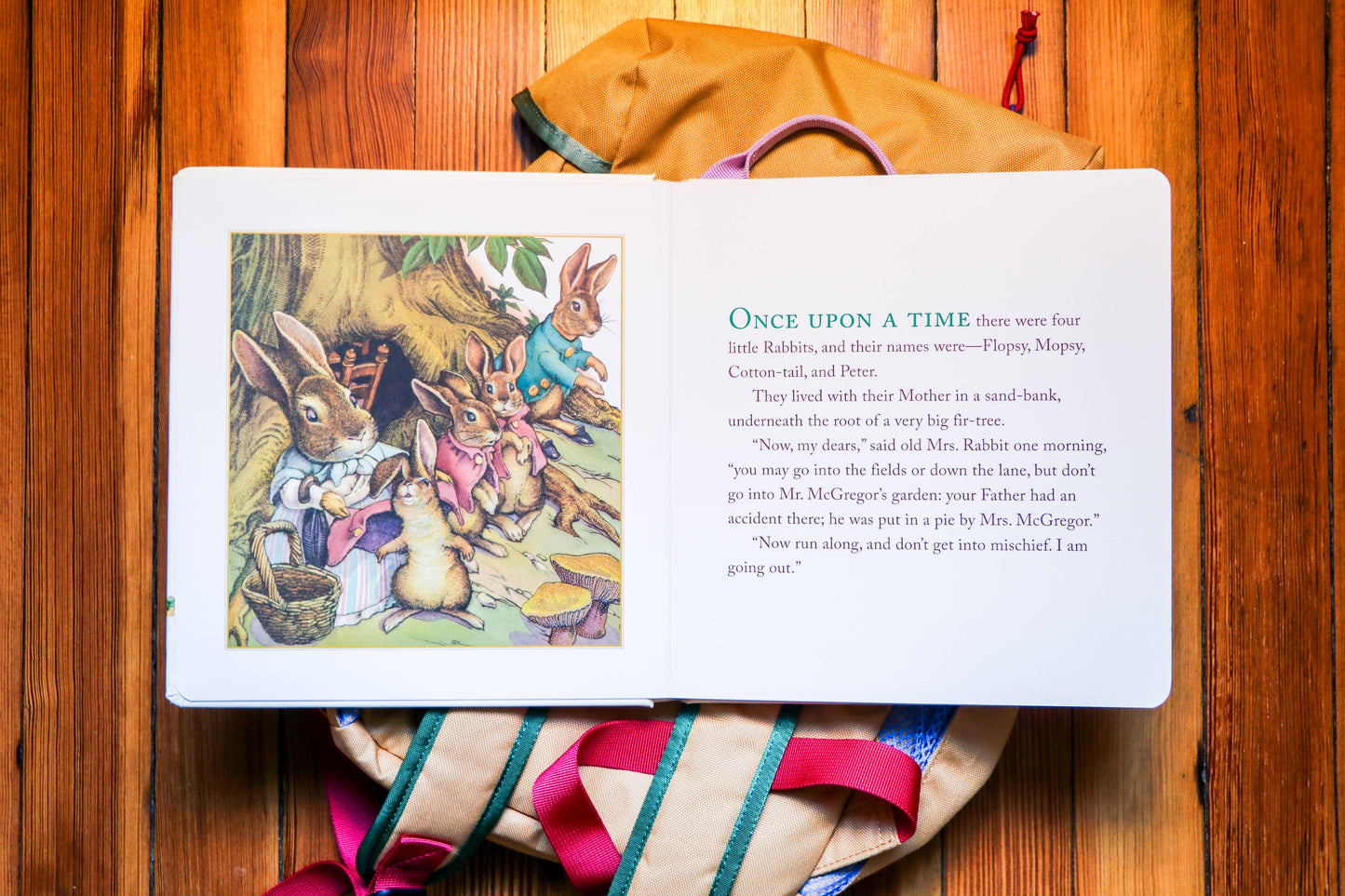 HarperCollins Focus - The Classic Tale of Peter Rabbit Board Book: Revised Ed
