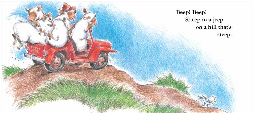 HarperCollins - Sheep in a Jeep Board Book : Nancy E. Shaw
