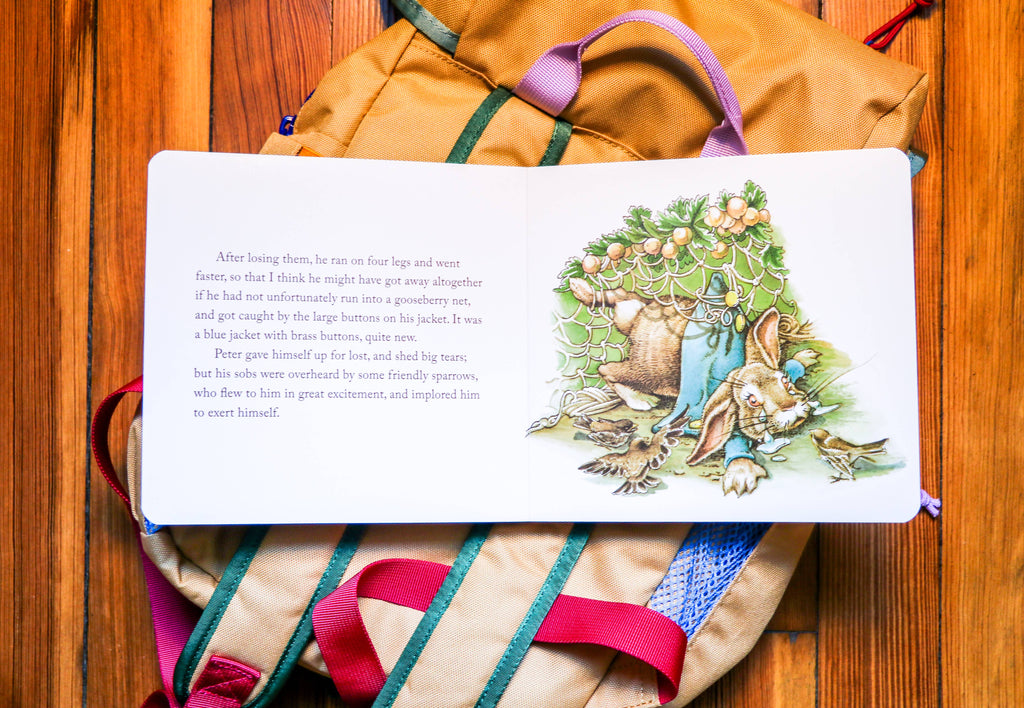 HarperCollins Focus - The Classic Tale of Peter Rabbit Board Book: Revised Ed