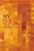 NIV, Outreach New Testament, Large Print, Paperback cover image