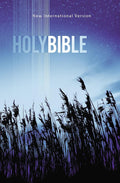 NIV, Value Outreach Bible, Paperback cover image