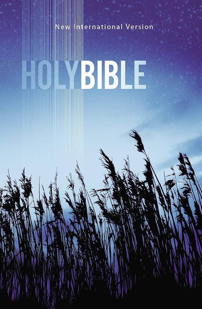 NIV, Value Outreach Bible, Paperback cover image