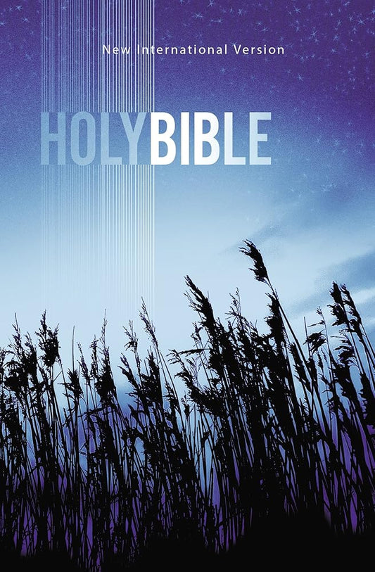 NIV, Value Outreach Bible, Paperback cover image