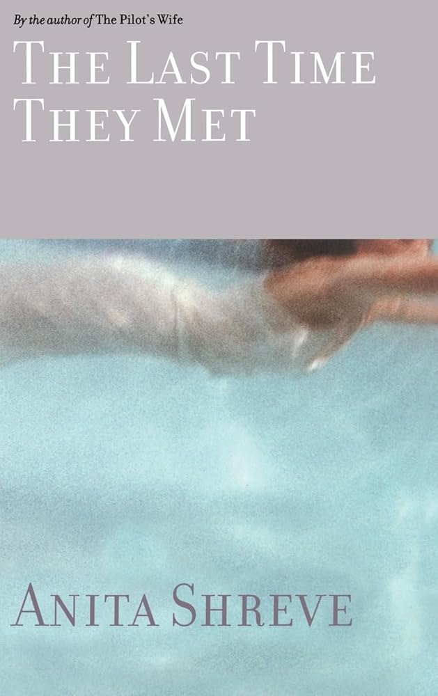 The Last Time They Met: A Novel cover image