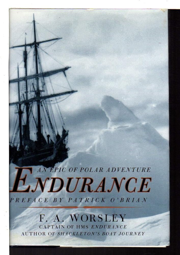 Endurance: An Epic of Polar Adventure cover image