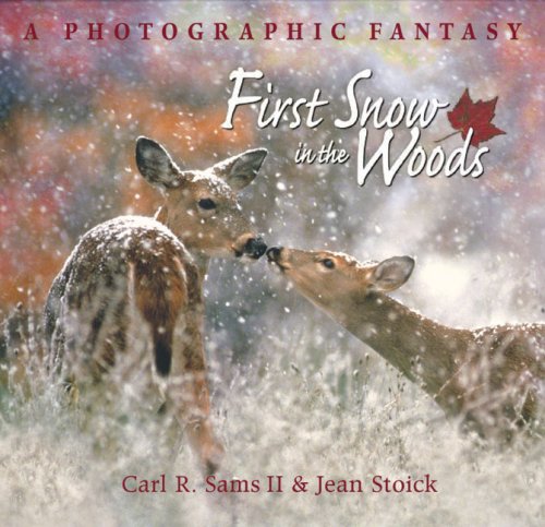 First Snow in the Woods: A Photographic Fantasy