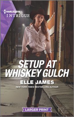 Setup at Whiskey Gulch cover image
