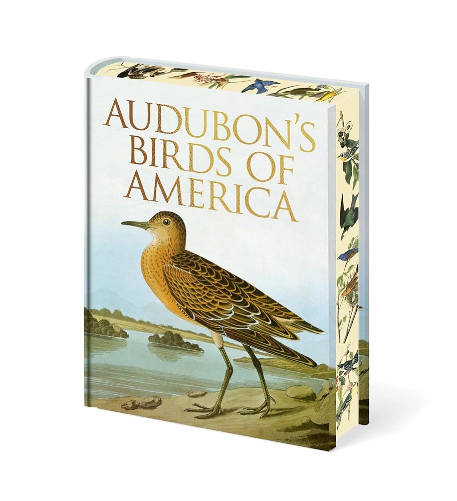 Arcturus Audubons Birds of America. cover image