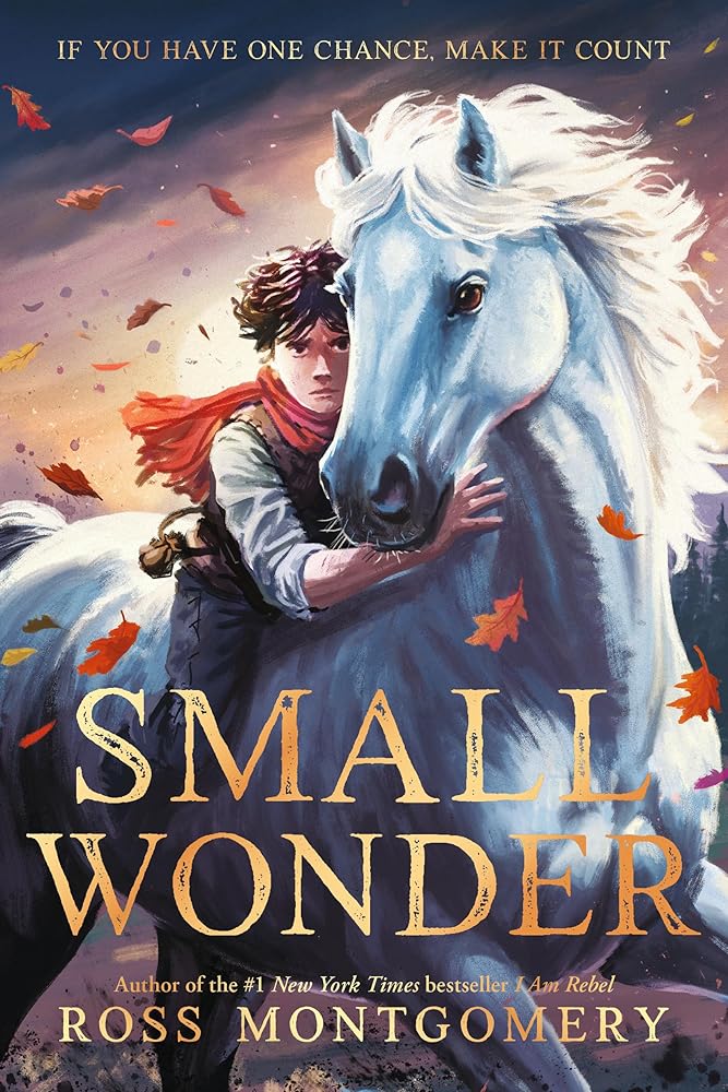 Small Wonder cover image