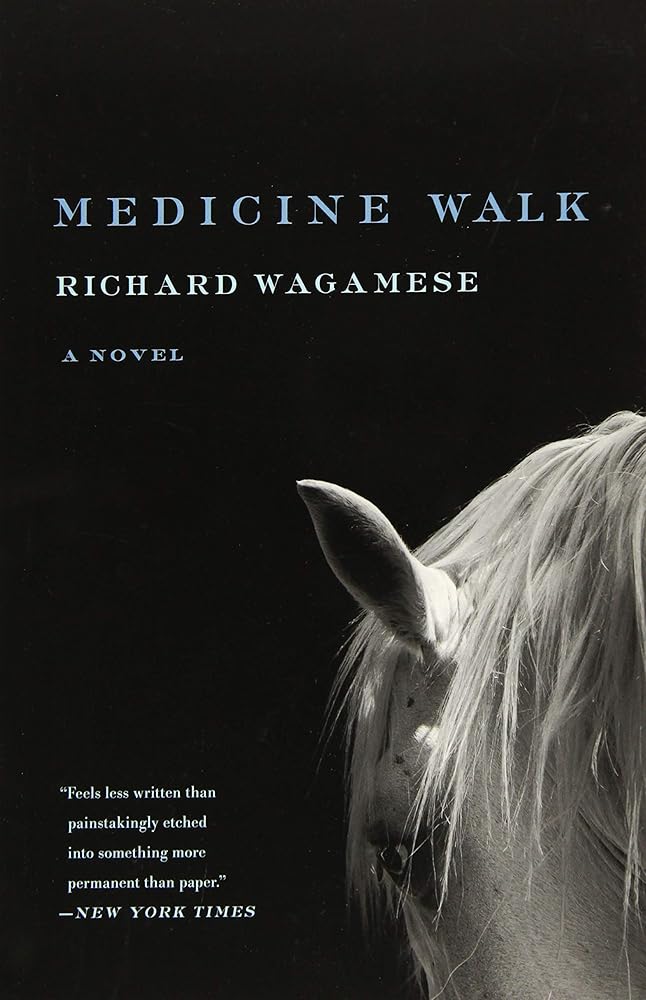 Medicine Walk cover image