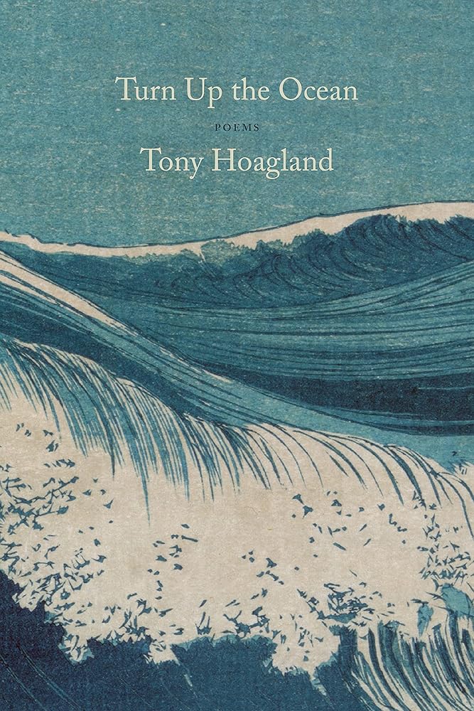 Turn Up the Ocean: Poems cover image