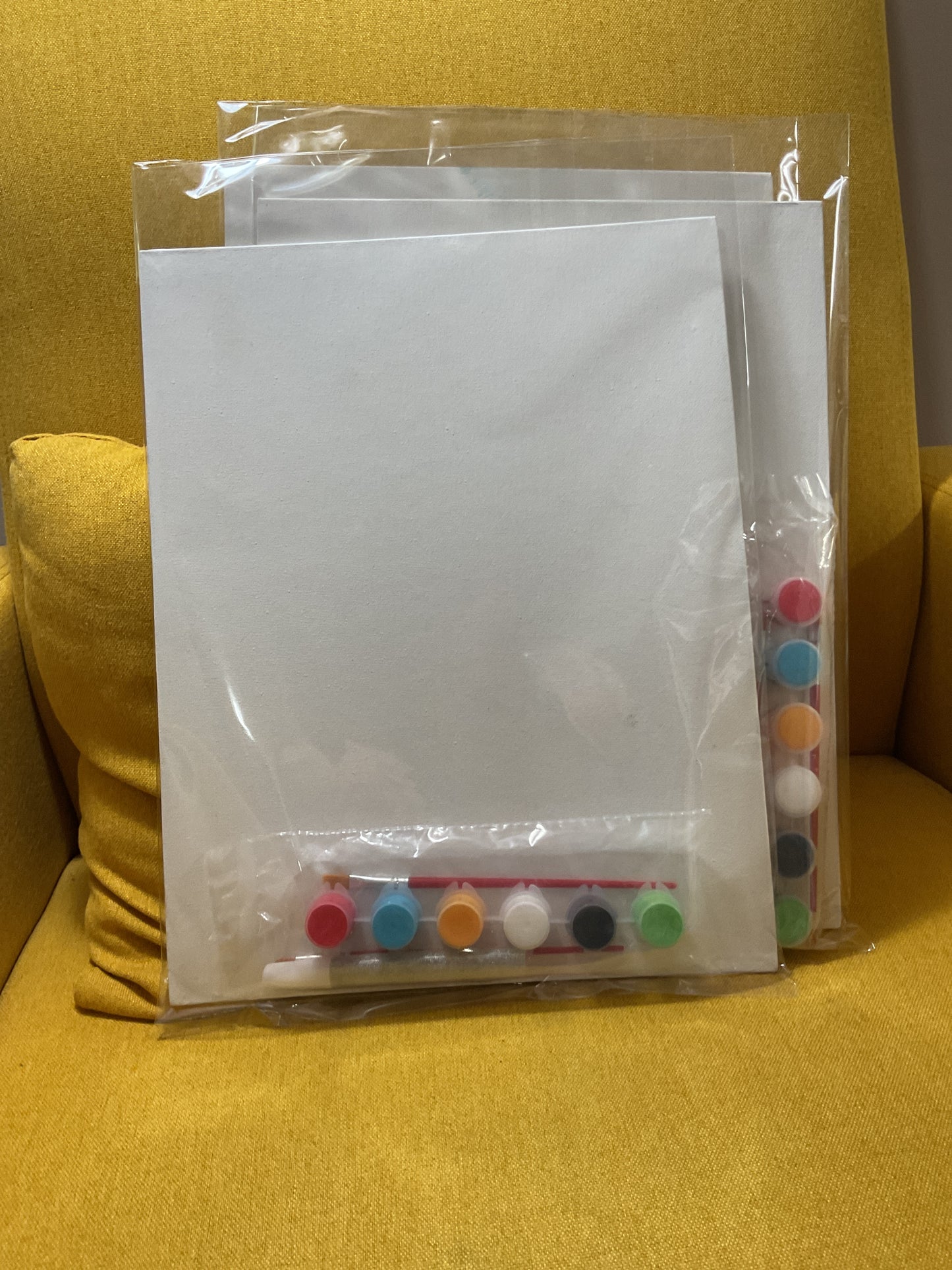 Paint at home art kit