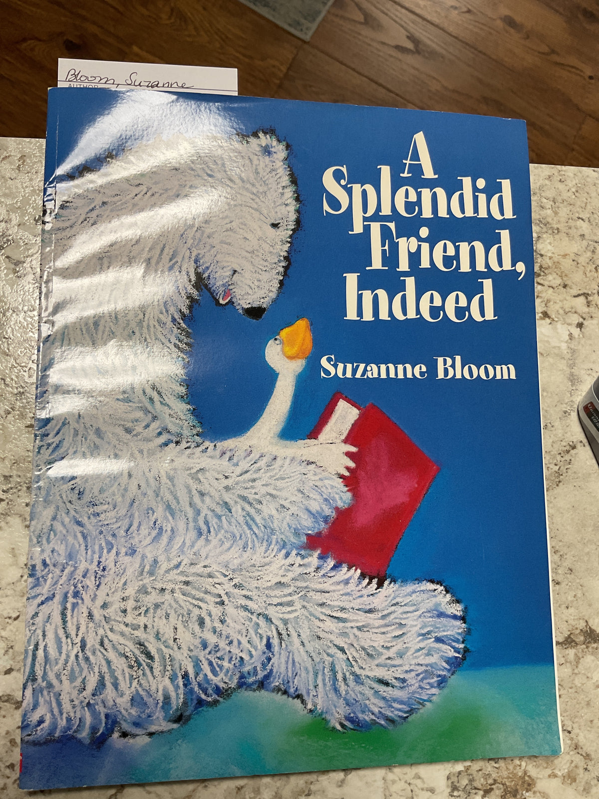 A Splendid Friend, Indeed (Goose and Bear Stories)