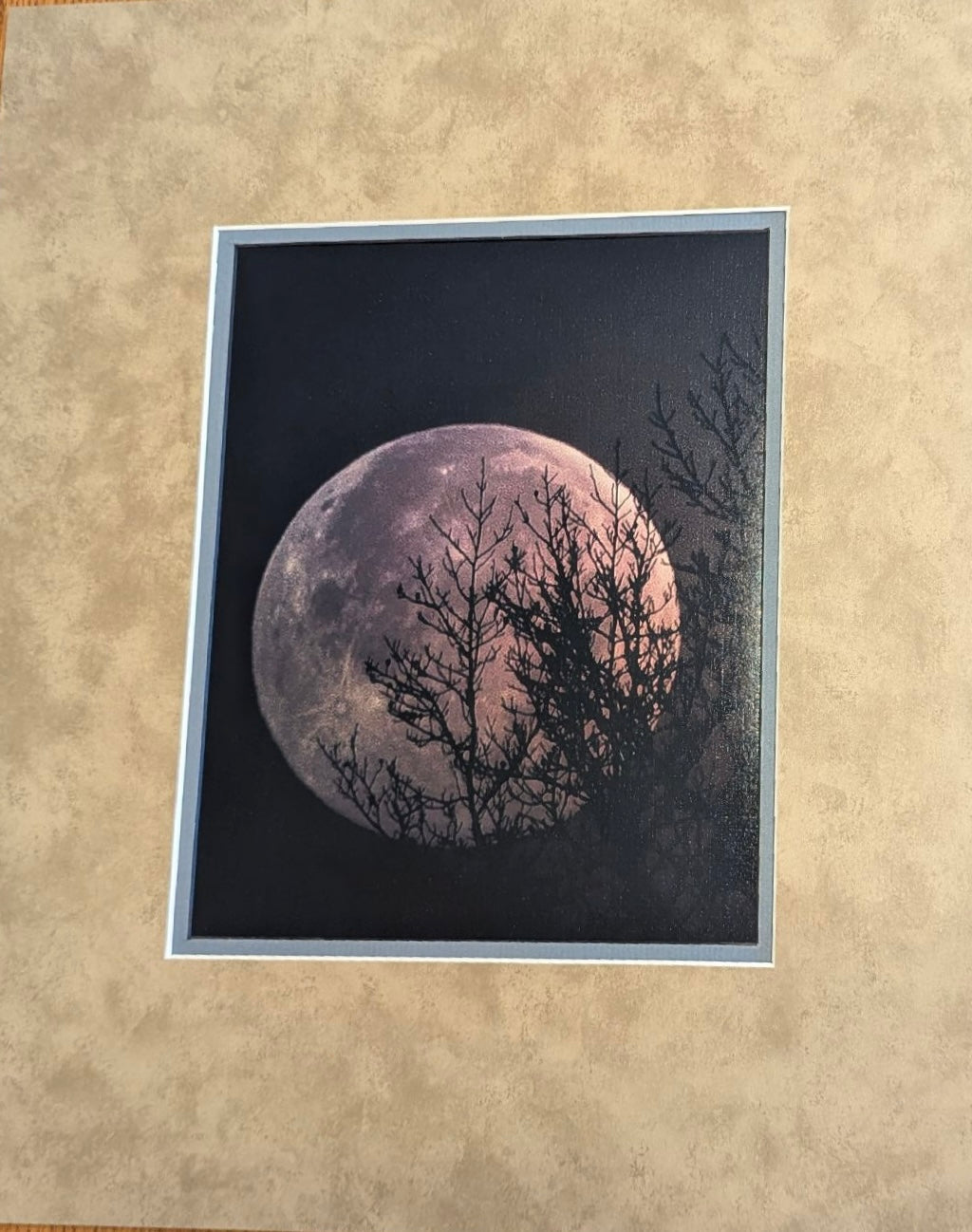 Katie Baker Sparks Photography-Moon matted print