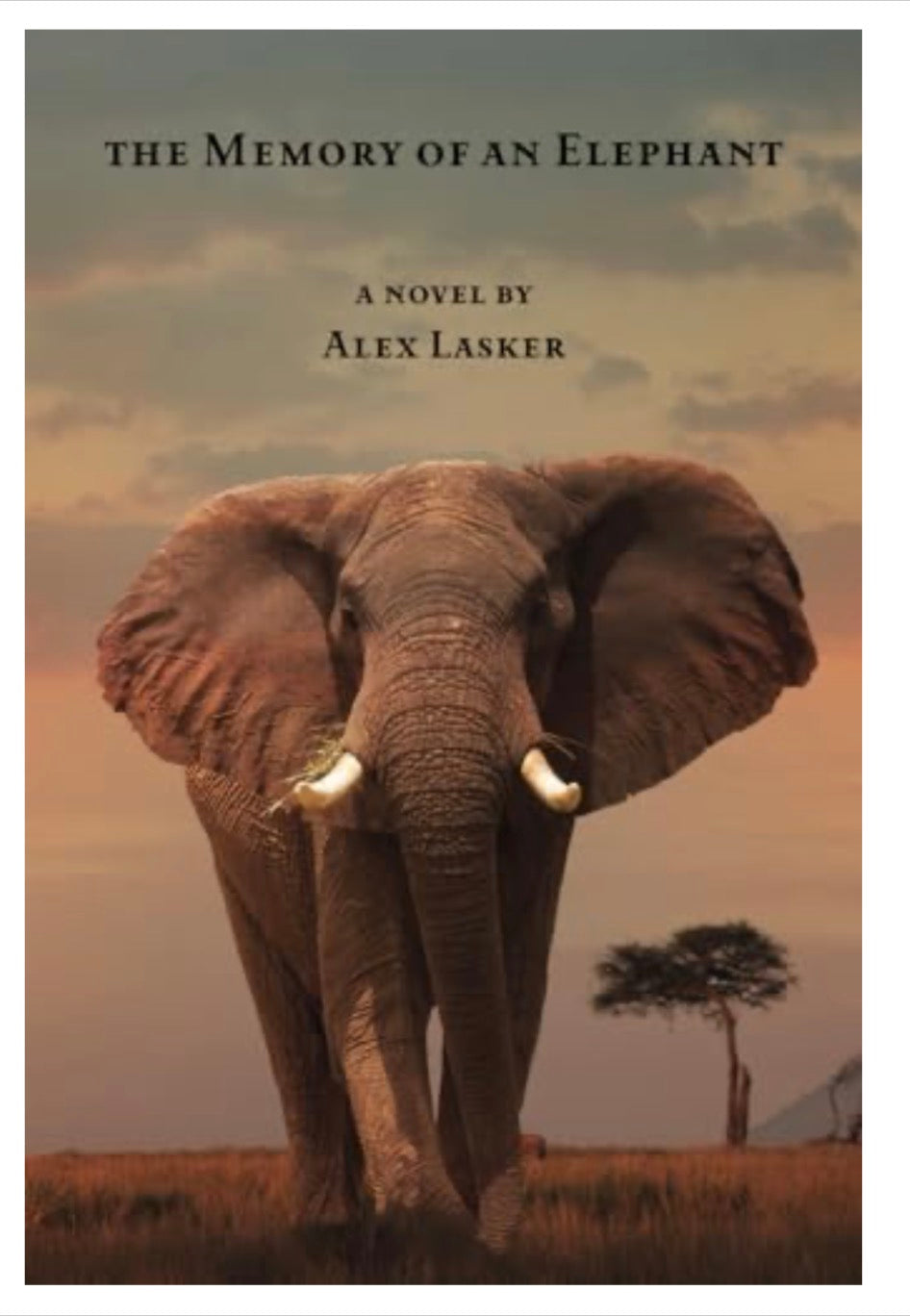 The Memory of an Elephant