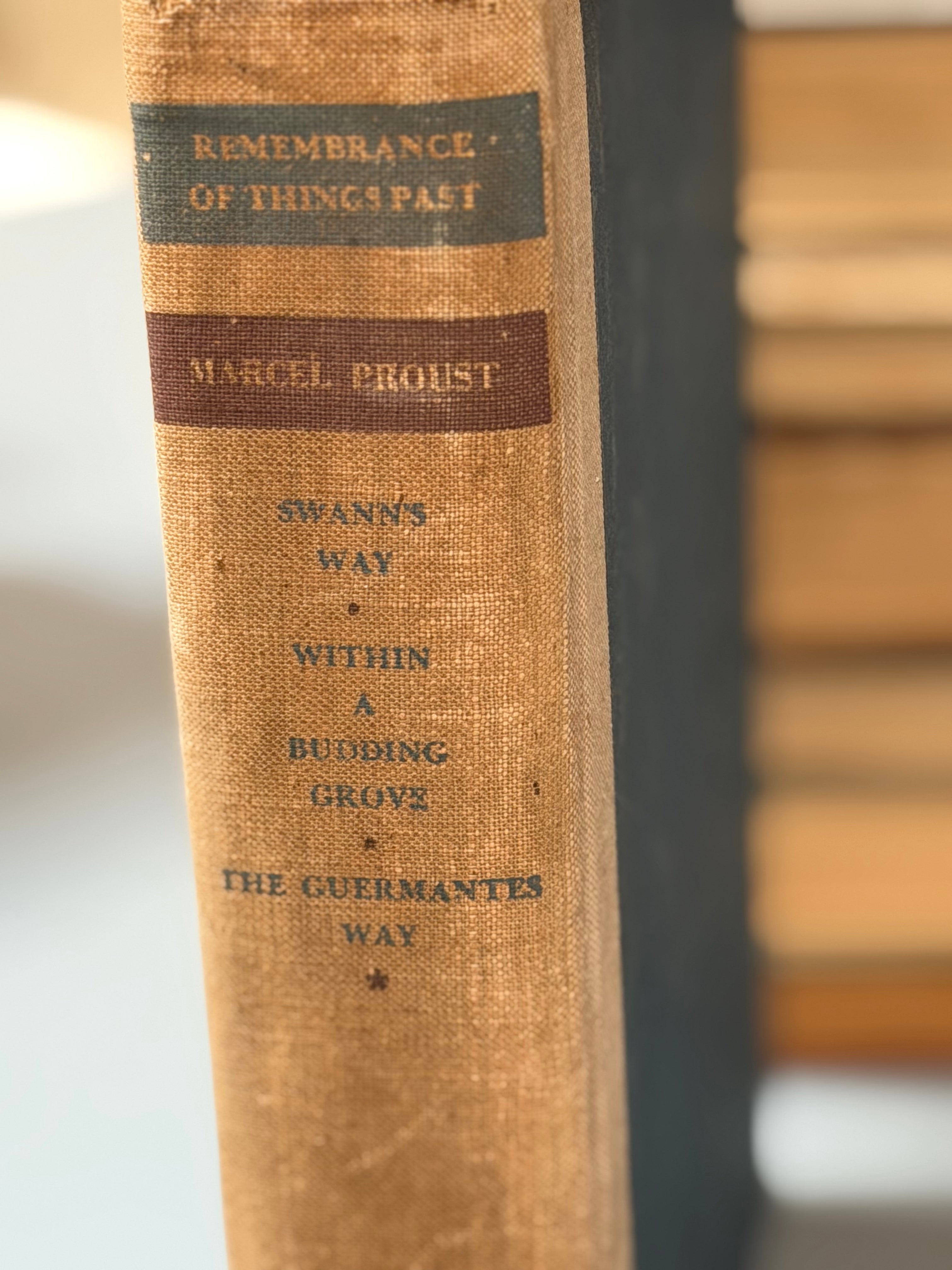 Remembrance of Things Past, Volume 1