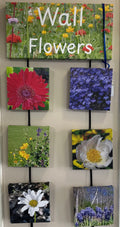 Wallflowers by Kat