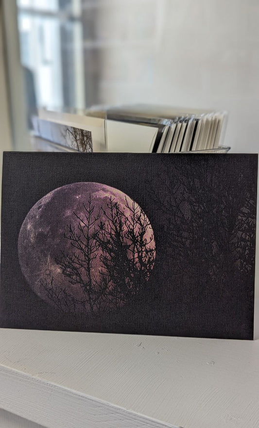 Katie Baker Sparks Photography-Moon Blank Notecards