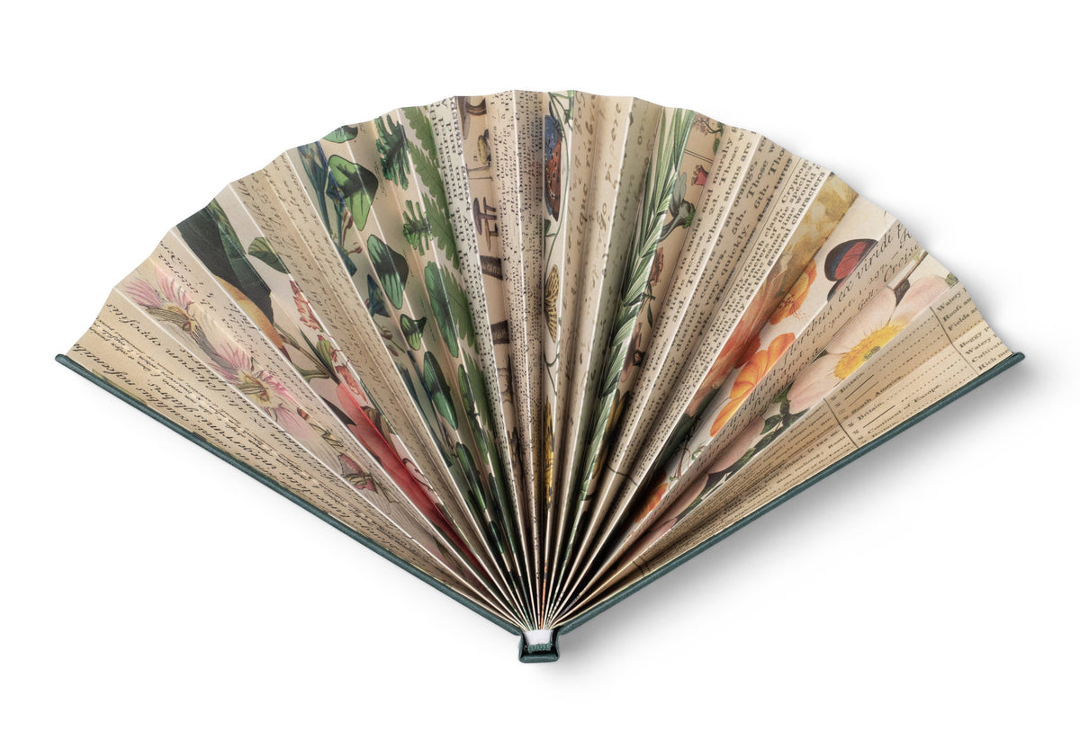 if USA - Book Fan