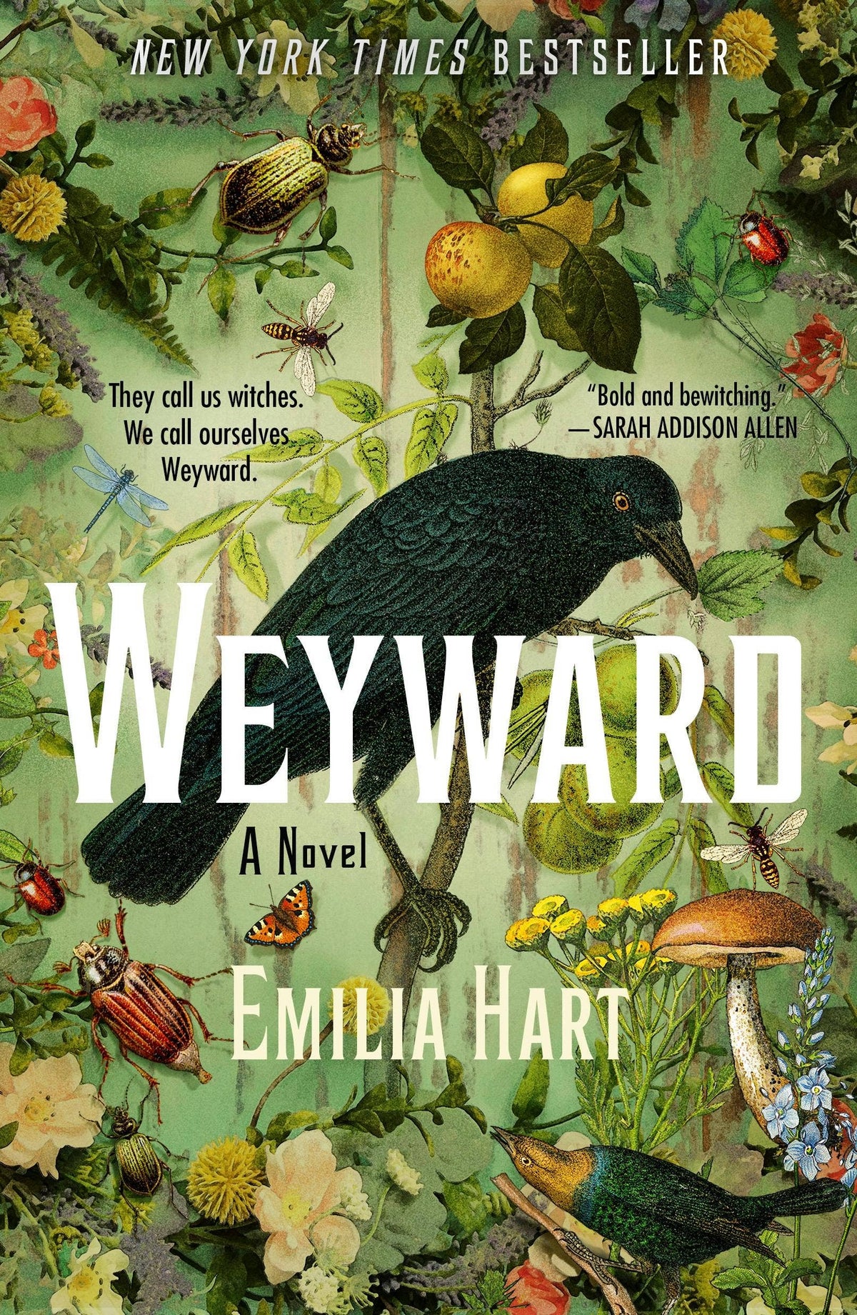 Macmillan Publishers - Weyward: A Novel #1
