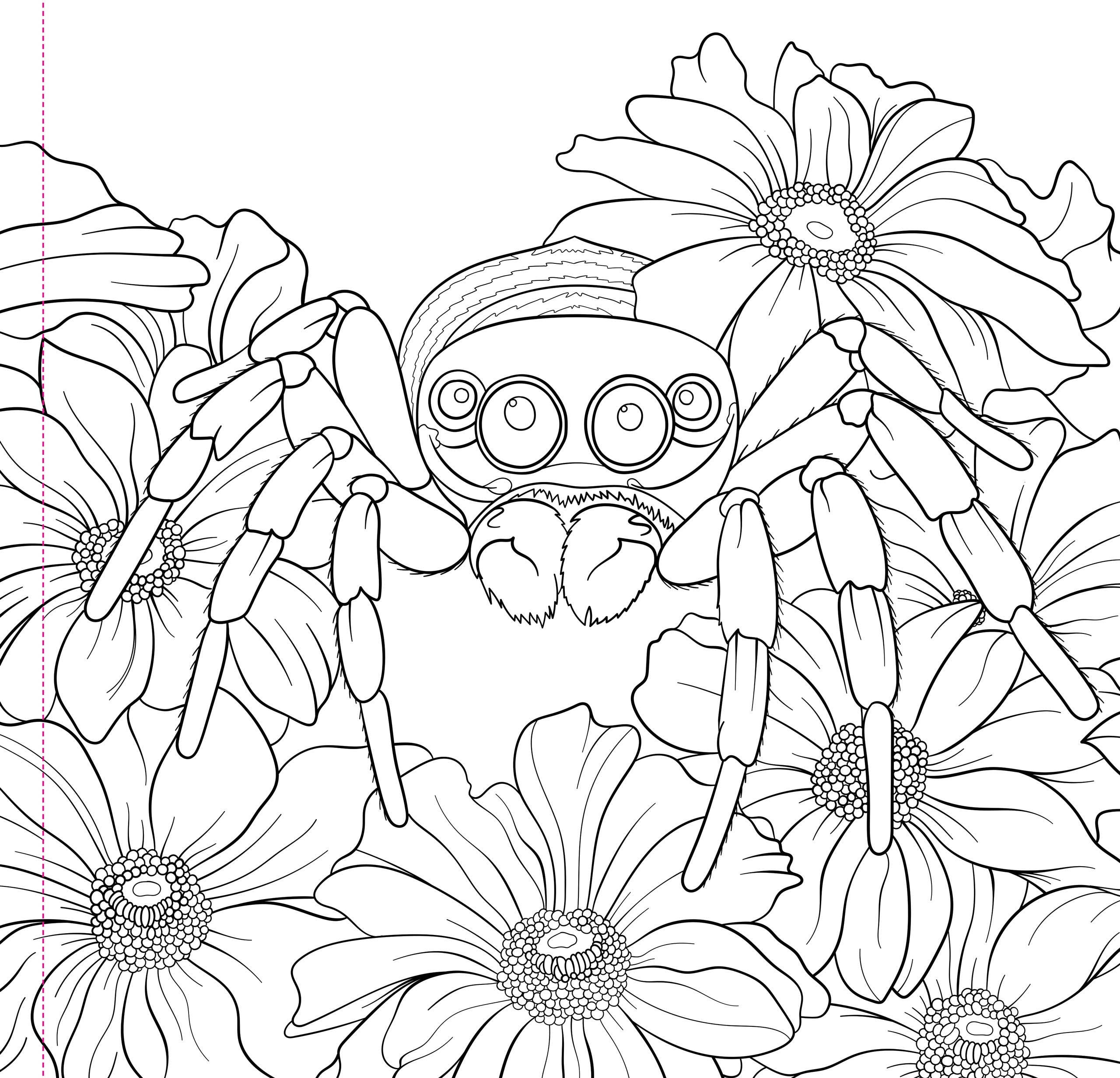 Peter Pauper Press - Goth Garden Adult Coloring Book