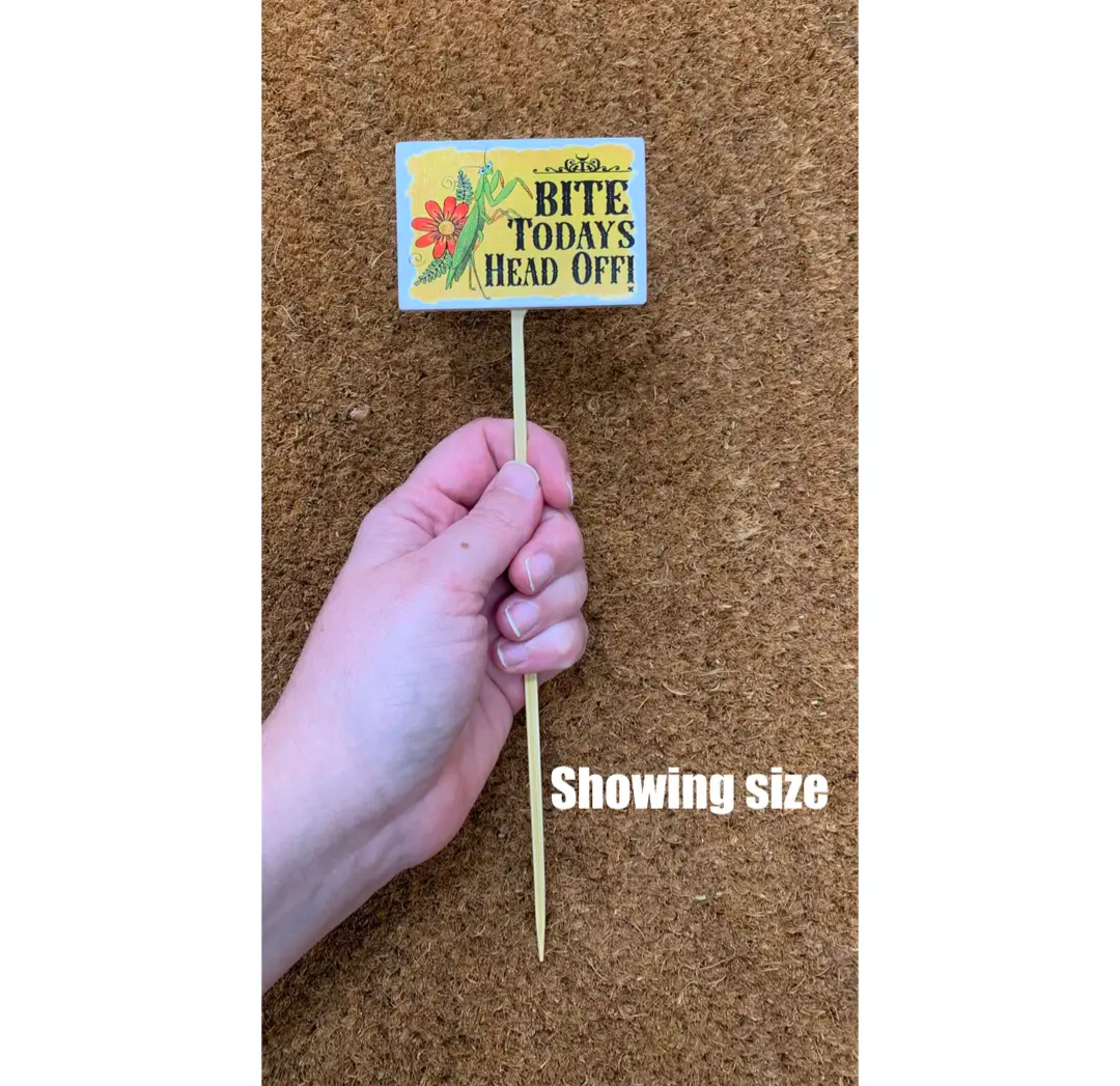 Plant Stake
