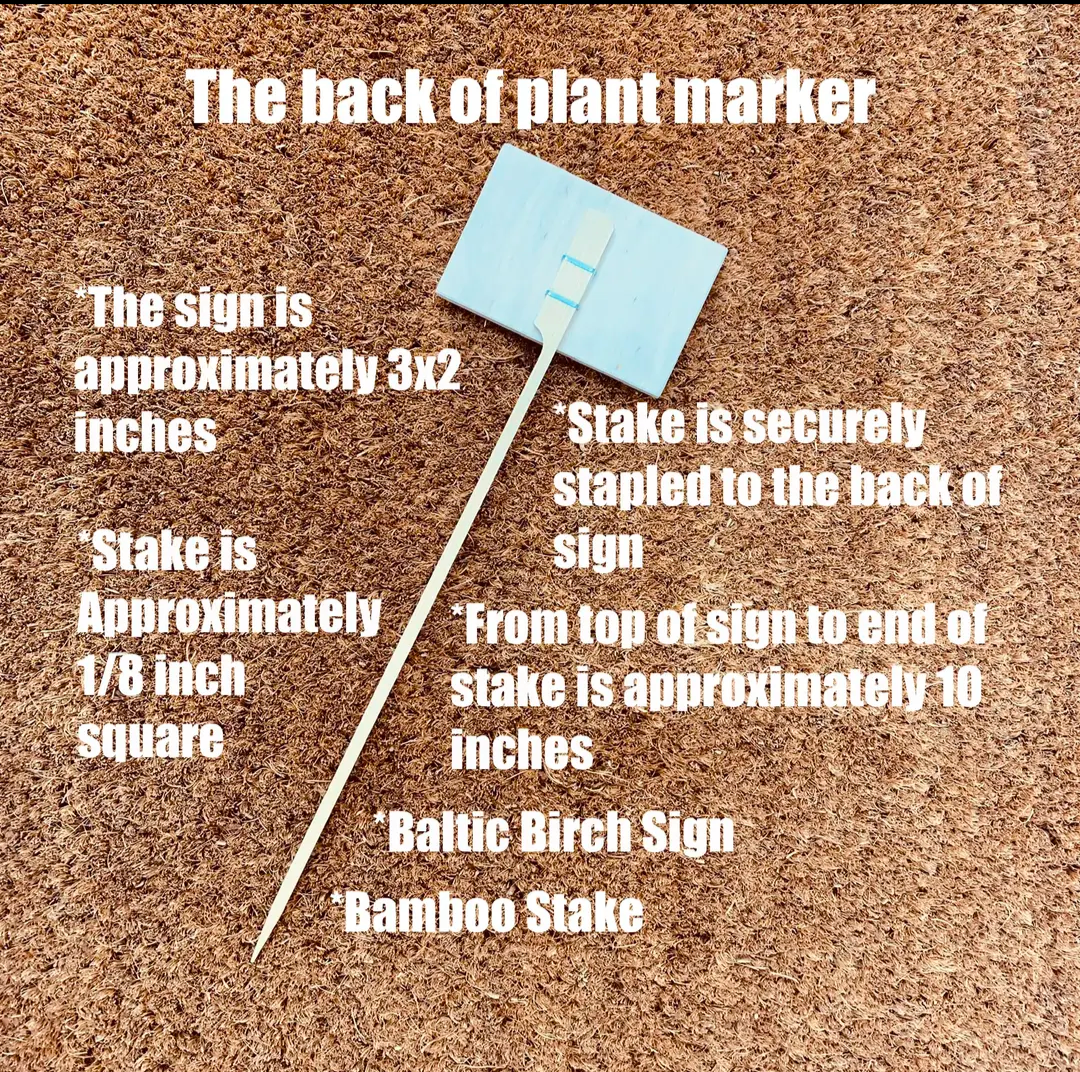 Plant Stake