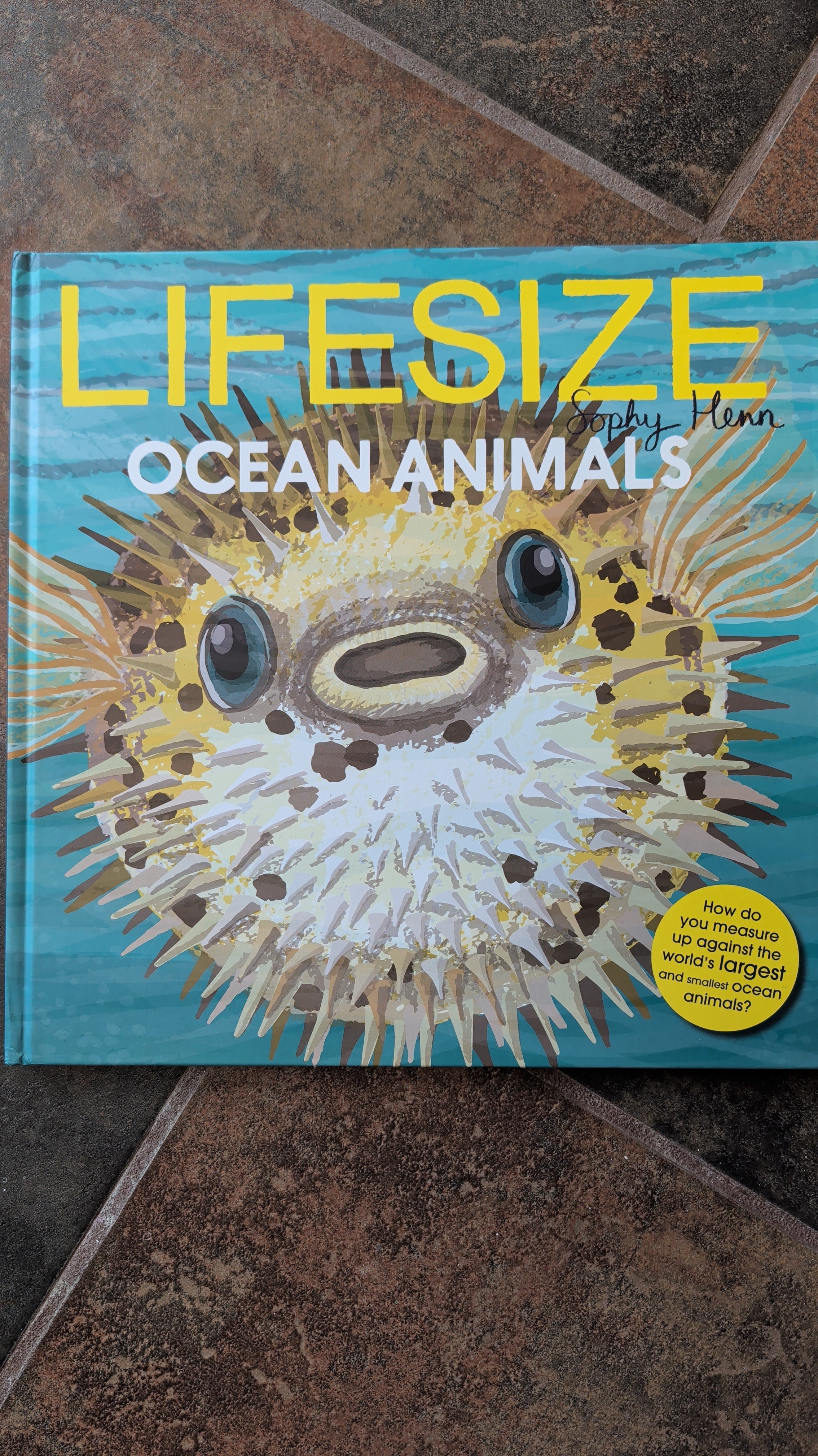 Lifesize Ocean Animals by Sophy Henn
